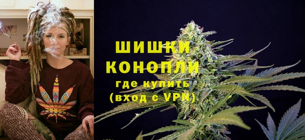 ешки Арсеньев