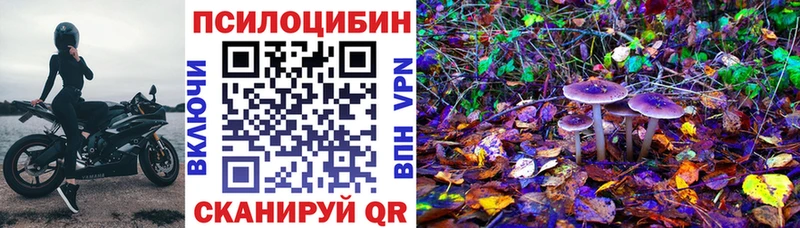 Галлюциногенные грибы Cubensis  цены   Чудово 
